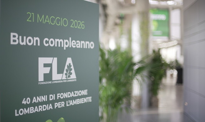 La fondazione