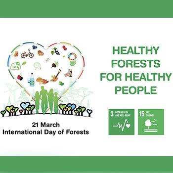 21 marzo Giornata Internazionale delle foreste